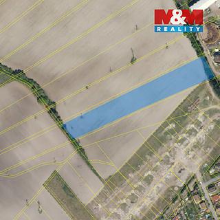 Prodej zemědělské půdy 10 922 m² Živanice Nerad