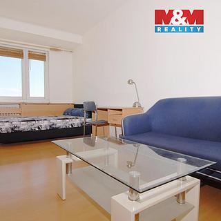 Pronájem bytu 1+1 40 m² Ostrava