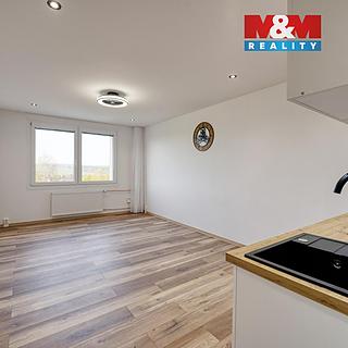 Prodej bytu 1+kk a garsoniéry 25 m² Horní Bříza, U Vrbky