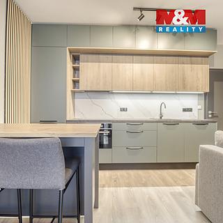 Pronájem bytu 2+kk 56 m² Plzeň