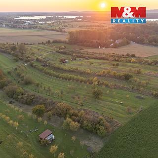 Prodej zemědělské půdy 2885 m² Ostrožská Nová Ves