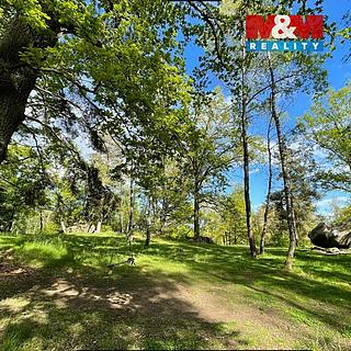 Prodej lesa 3 719 m² Petrovice Žemličkova Lhota