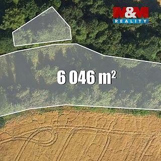 Prodej louky 6046 m² Bílá