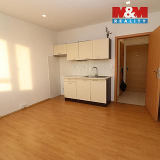 Pronájem bytu 1+kk, garsoniery 21 m² Ostrov