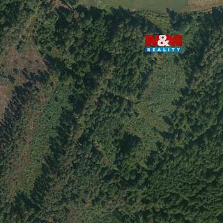 Prodej lesa 32 765 m² Libín Slavošovice