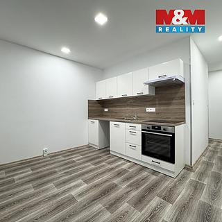 Pronájem bytu 1+1 35 m² Ostrov, Lidická