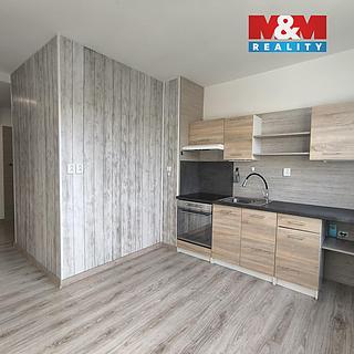 Pronájem bytu 1+1 41 m² Ústí nad Labem