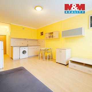 Prodej bytu 1+kk, garsoniery 24 m² Nová Role