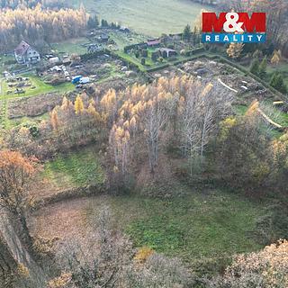 Prodej zemědělské půdy 5 000 m² Šumperk