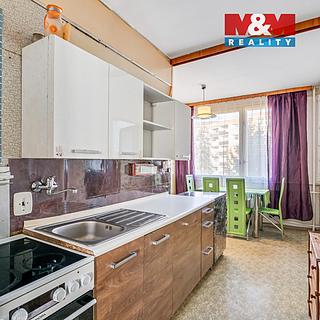 Prodej bytu 3+1 65 m² Ústí nad Labem Krásné Březno, Družstevní