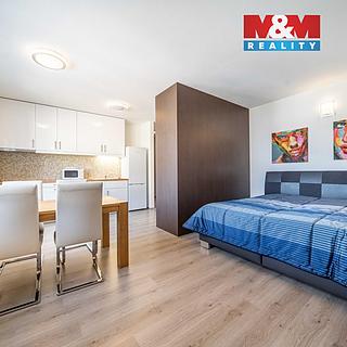 Pronájem bytu 1+kk, garsoniery 36 m² Plzeň