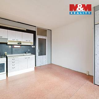 Prodej bytu 1+1 41 m² Teplá, Palackého