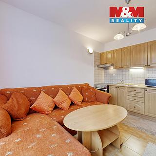 Pronájem bytu 1+kk a garsoniéry 20 m² Mariánské Lázně Úšovice, Tepelská