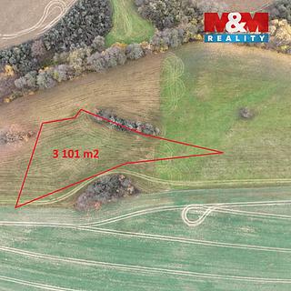 Prodej louky 3101 m² Skuteč