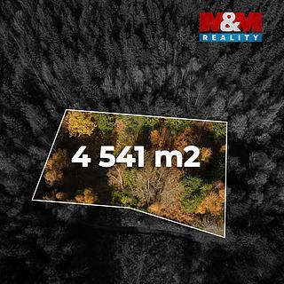 Prodej louky 4 541 m² Milíkov