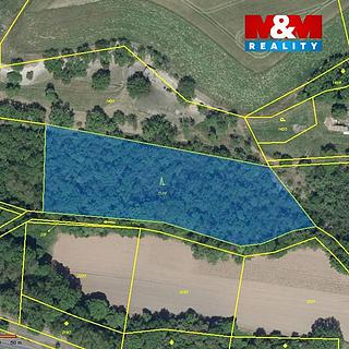 Prodej lesa 6 203 m² Lipno Lipenec
