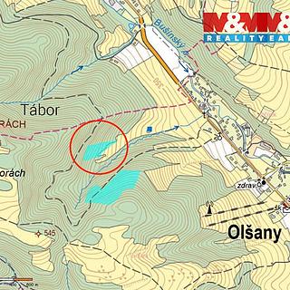 Prodej lesa 8 828 m² Olšany