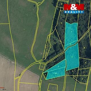 Prodej lesa 14 550 m² Horní Studénky