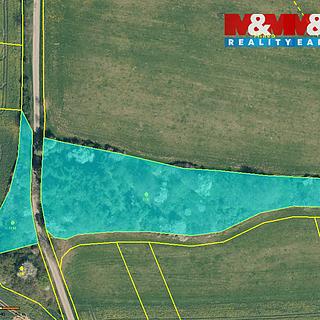 Prodej lesa 19561 m² Načeradec