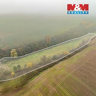 Prodej zemědělské půdy 8999 m² Klobuky