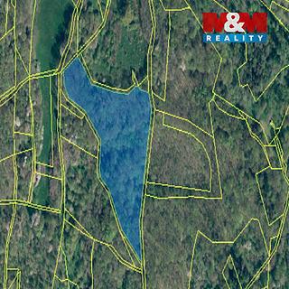 Prodej lesa 23 830 m² Úštěk Habřina