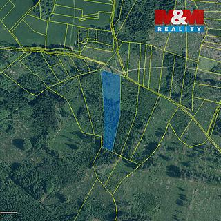 Prodej lesa 11 912 m² Kolinec Buršice