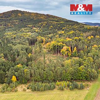 Prodej lesa 39171 m² Ježovy