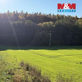 Prodej lesa 1901 m² Velká Polom