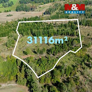 Prodej lesa 31116 m² Horní Heřmanice