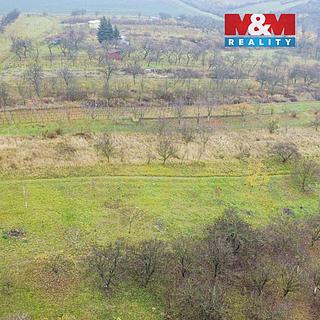 Prodej zemědělské půdy 1791 m² Bukovany