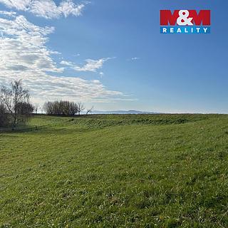 Prodej louky 5 000 m² Žichlínek