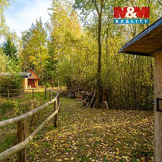 Pronájem louky, 5500m²