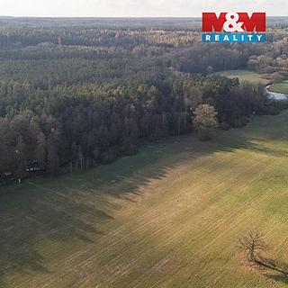 Prodej zemědělské půdy 5 276 m² Týniště nad Orlicí Štěpánovsko