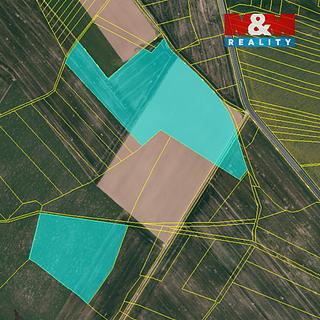 Prodej zemědělské půdy 83004 m² Rozseč