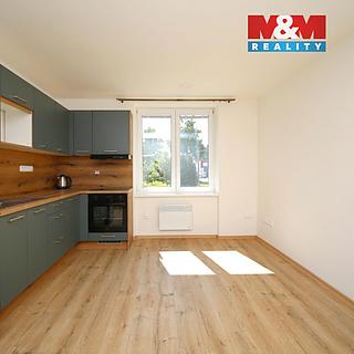 Pronájem bytu 1+1 39 m² Týniště nad Orlicí, Družstevní