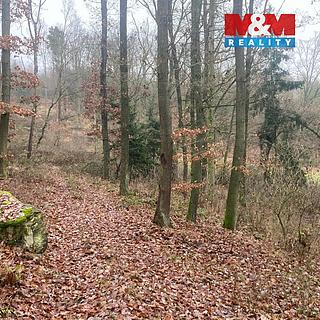 Prodej lesa 9 178 m² Krašlovice