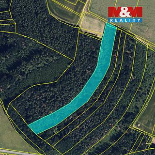 Prodej lesa 12592 m&sup2; Olbramice