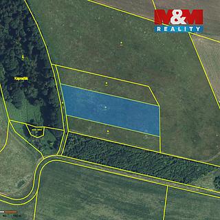 Prodej louky 7 222 m² Lichkov