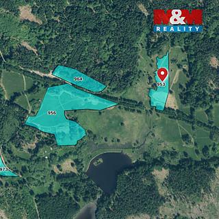 Prodej zemědělské půdy 50 456 m² Lesná