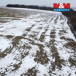 Prodej zemědělské půdy 10 322 m² Dolní Slivno