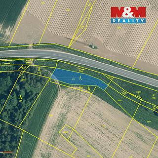 Prodej lesa 711 m&sup2; Malý Bor