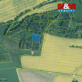 Prodej lesa 4545 m&sup2; Třešovice