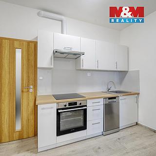 Pronájem bytu 1+1 38 m² Plzeň Jižní Předměstí, Husova