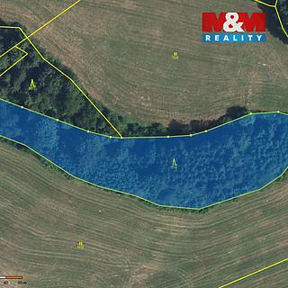 Prodej lesa 6 869 m² Vidochov Stupná
