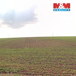 Prodej zemědělské půdy 2579 m&sup2; Štěpánkovice