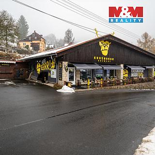 Prodej obchodu 560 m² Kraslice Tisová