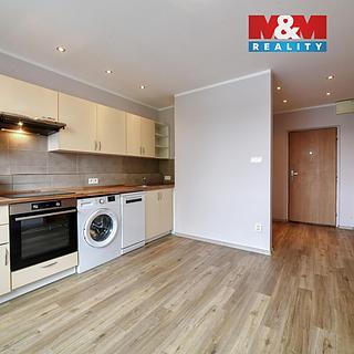 Pronájem bytu 1+1 37 m² Cheb, Dvořákova