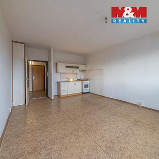 Pronájem bytu 1+kk a garsoniéry 29 m² Havířov Šumbark, Letní
