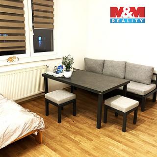Pronájem bytu 1+kk a garsoniéry 25 m² Ostrava Vítkovice, Tržní