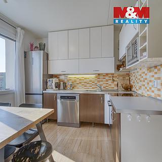 Prodej bytu 1+1 38 m² Plzeň Severní Předměstí, Brněnská